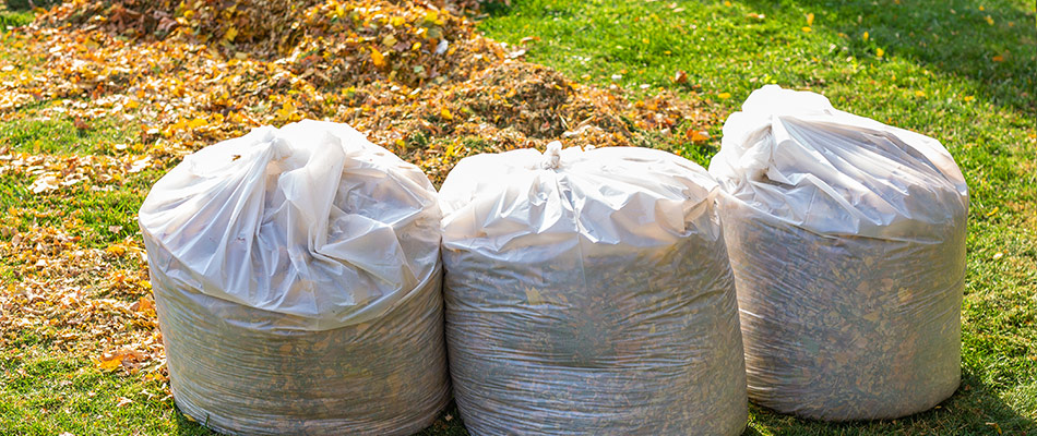 Bags Of Leaves In Lawn After Removal Service