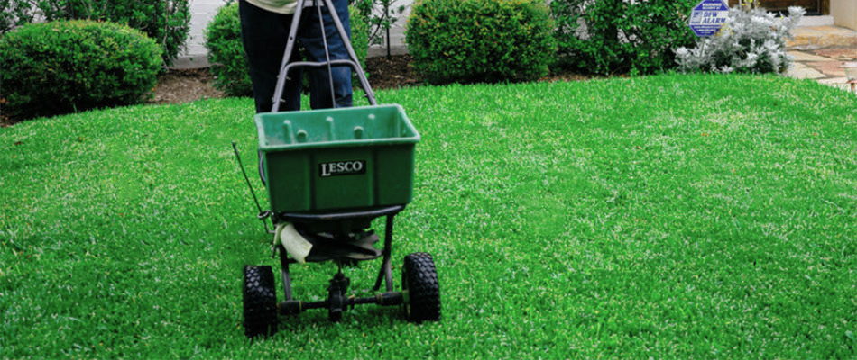 Denmark Professional Applying Fertilizer To Lawn