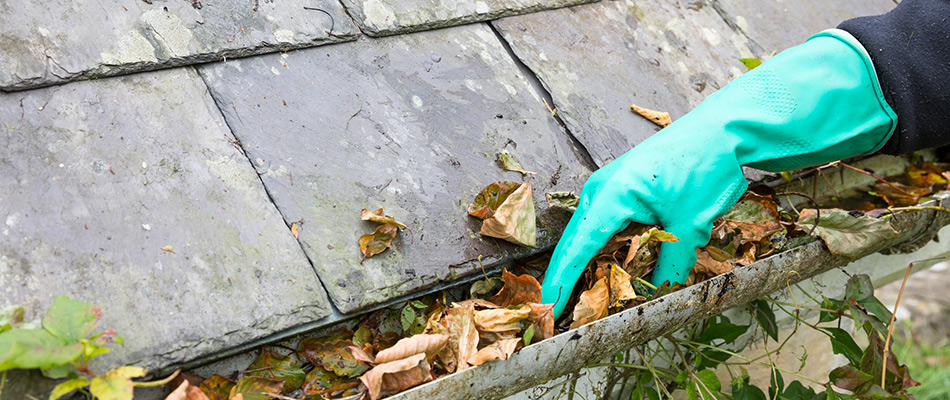Gloved Professional Removing Debris From Gutter