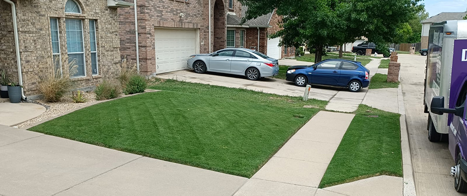 Small Mowed Lawn