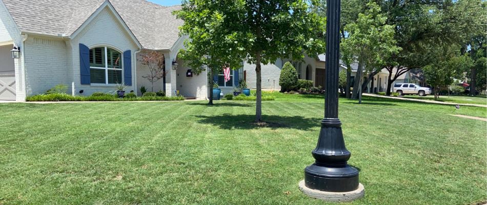 Mowing patterns added to lawn after service in Sansom Park, TX.