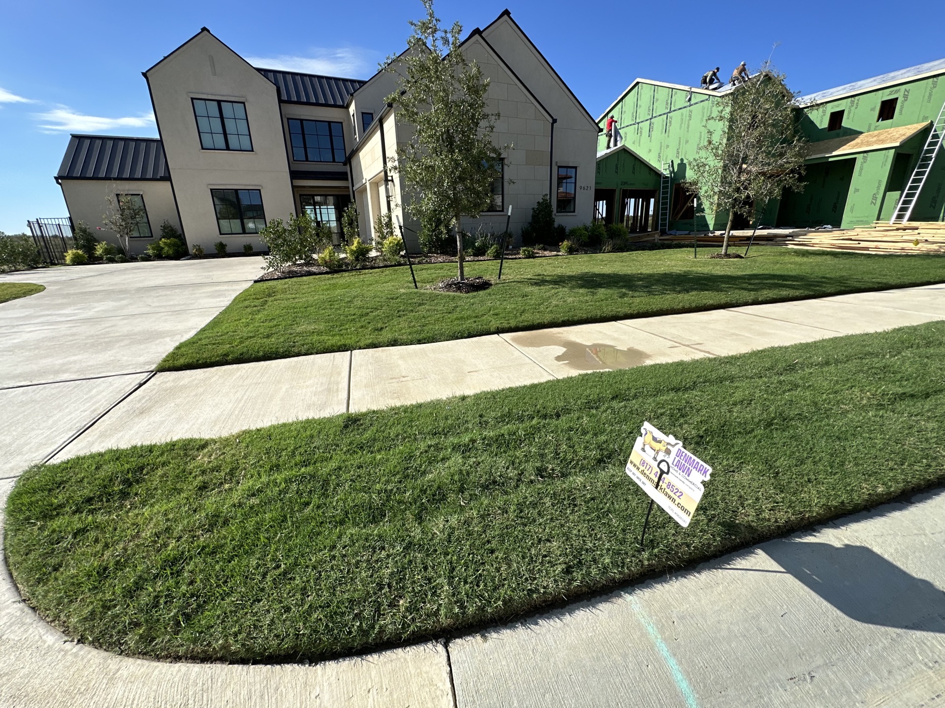Denmark Lawn yard sign on a treated lawn in west Fort Worth
