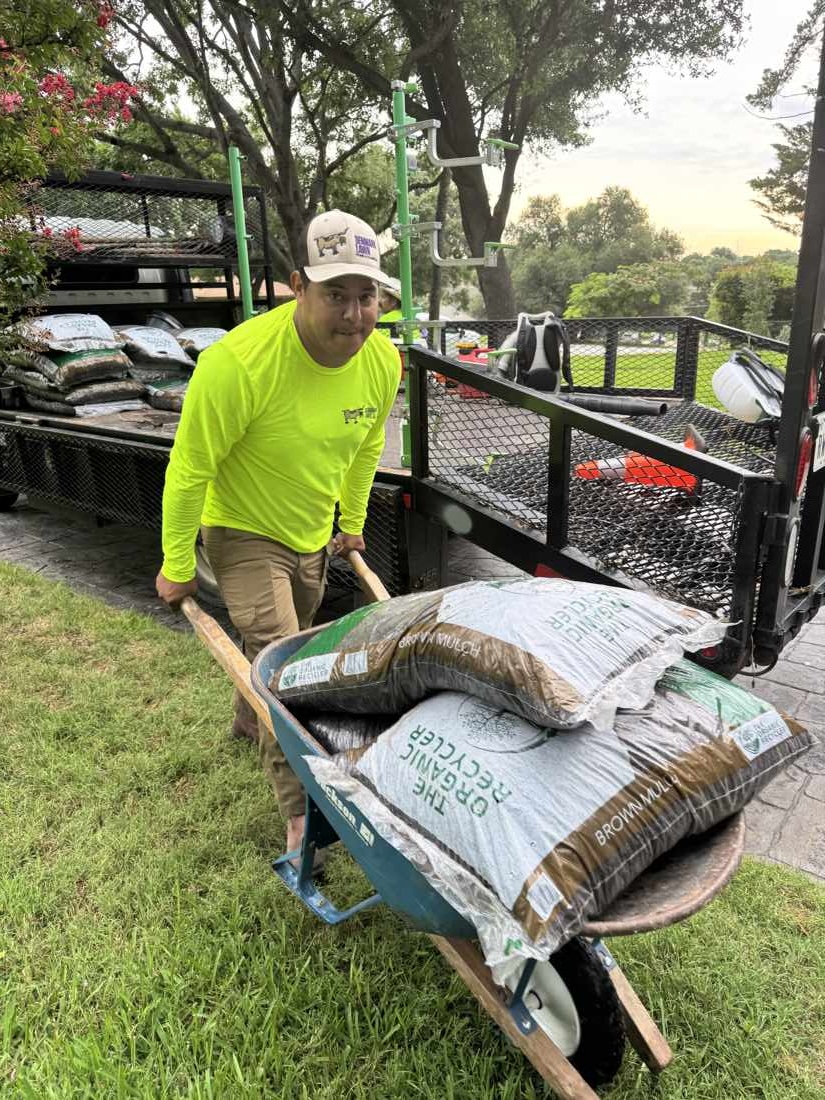 Denmark Lawn crew wheeling mulch bags from the truck
